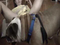 Zoophilia Porn Teen - Cute brunette hair gets nailed by her dog until he is balls unfathomable - pervertslut